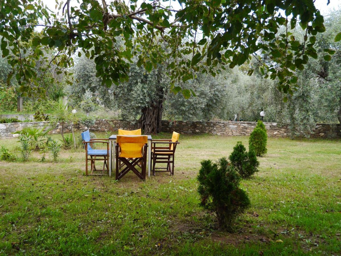 Blue Sky Villas Skala Potamia (Thasos) Exterior foto